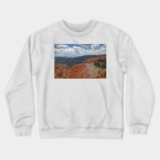 850_6947 Crewneck Sweatshirt